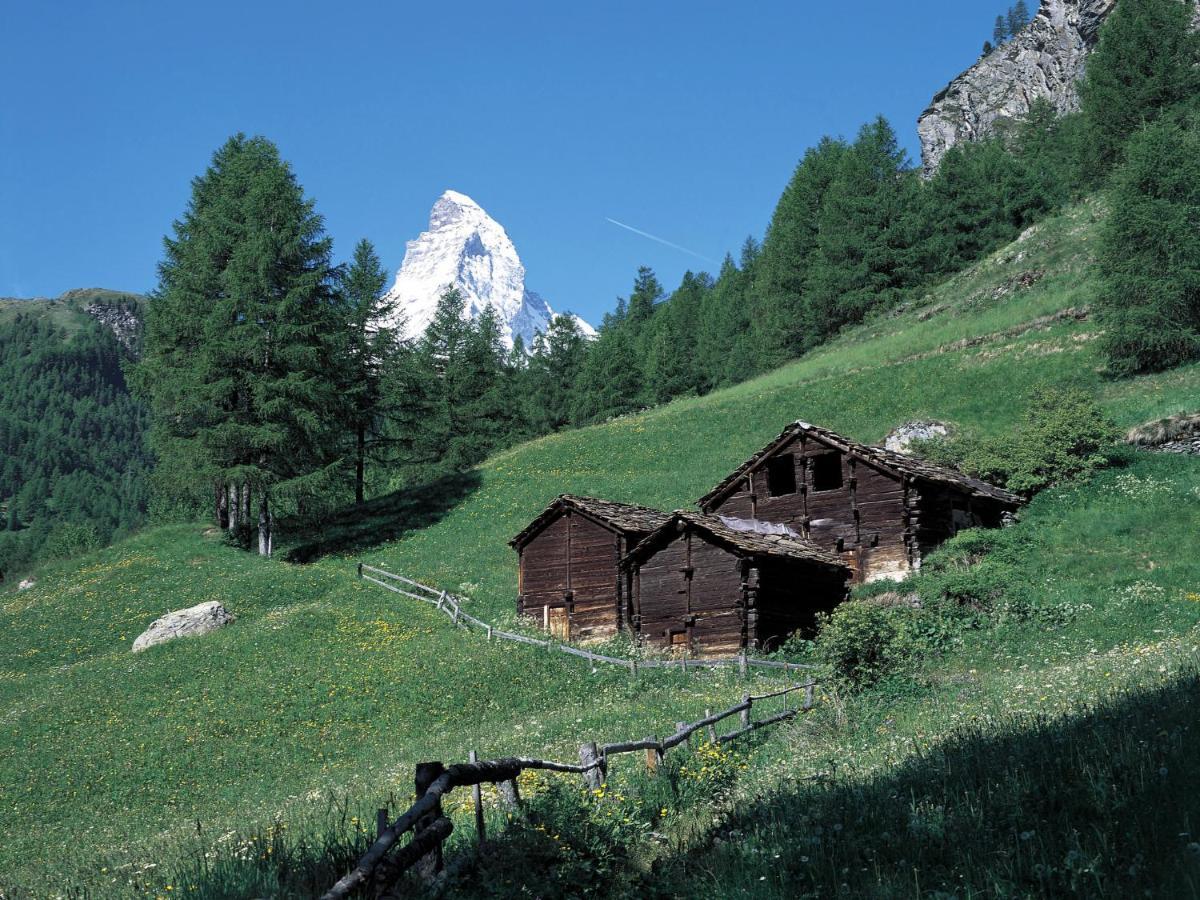 Apartment Apollo By Interhome Zermatt Exterior photo